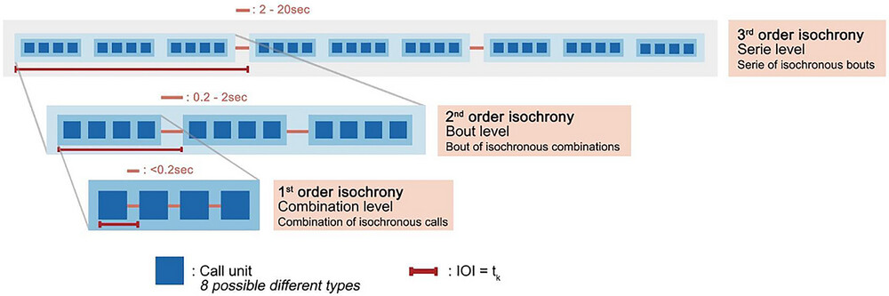 3rd order recursion