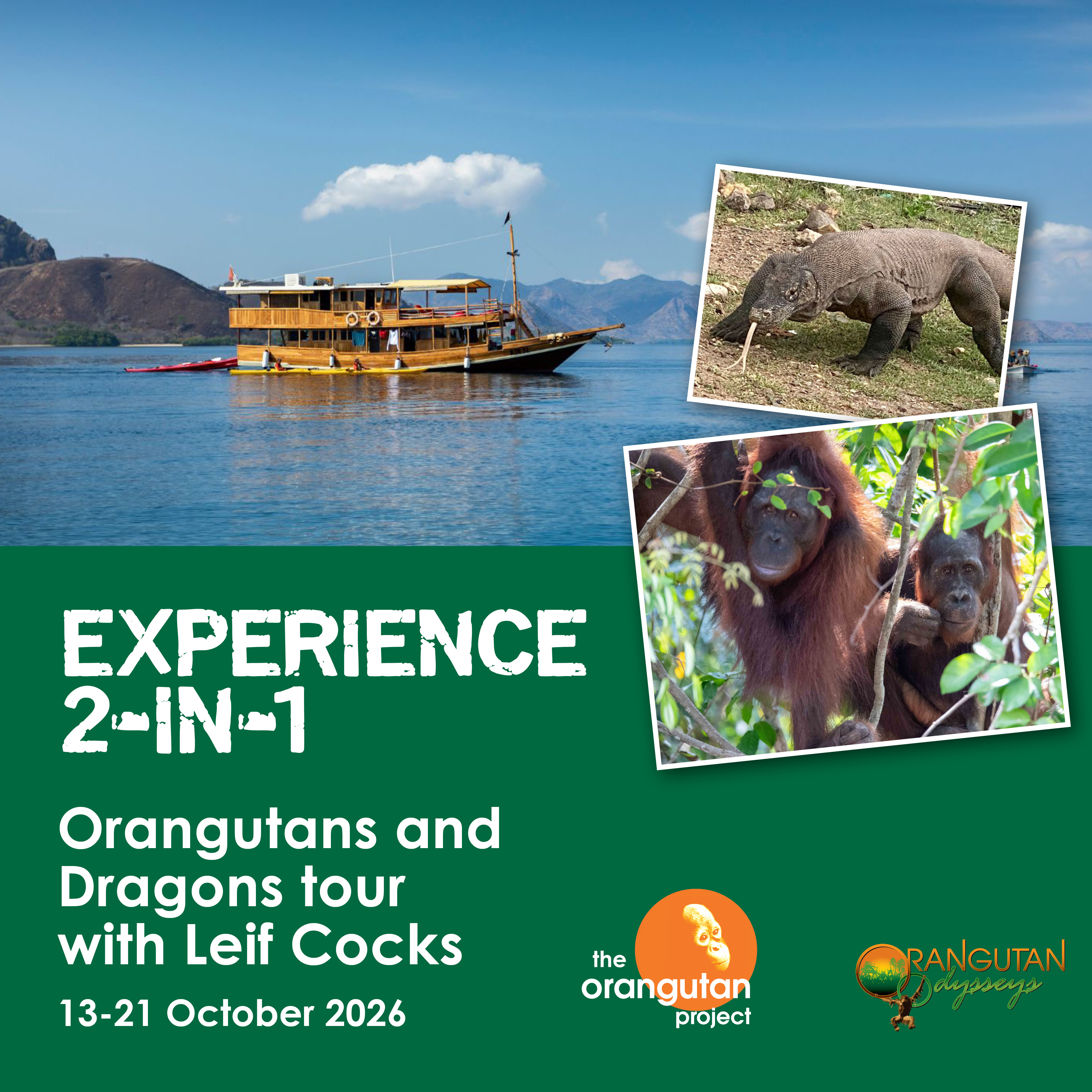 ORANGUTANS & DRAGONS TOUR | 13-21 OCTOBER 2026