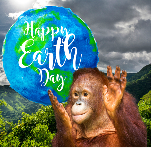 Earth-day-orangutan